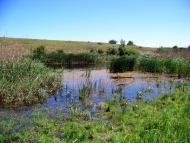 Гурівка з panoramio.com