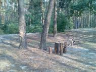 Гірки з panoramio.com