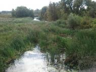 Ольшаниця з panoramio.com