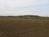 Нижні Ремети з panoramio.com