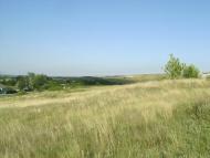 Лозне з panoramio.com