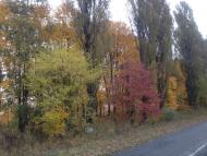 Вовківці з panoramio.com