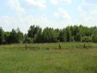 Річки з panoramio.com