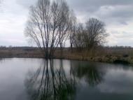 Мала Дівиця з panoramio.com