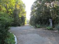 Підгір'я з panoramio.com