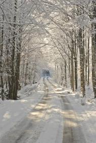 Тур'я Поляна з panoramio.com