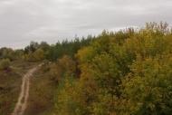 Червоний Шахтар з panoramio.com