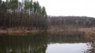 Суха Гомільша з panoramio.com - Сухая Гомольша