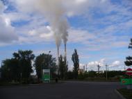 Берестки з panoramio.com