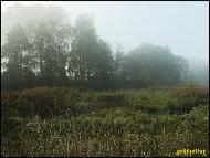 Мохначі з panoramio.com