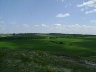 Лозне з panoramio.com