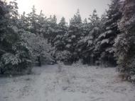 Великий Суходіл з panoramio.com