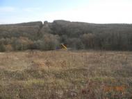 Бірки з panoramio.com