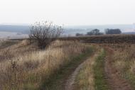 Руська Лозова з panoramio.com