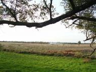 Травневе з panoramio.com