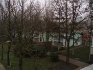 Новохортиця з panoramio.com