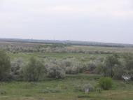 Набережне з panoramio.com