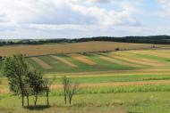 Глинськ з panoramio.com - Глинск