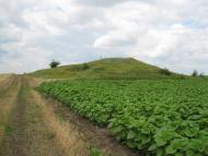 Чижево - Последние фото