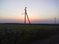 Ландарі - Останні фото