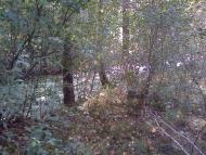 Магдин з panoramio.com