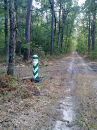 Вишняки з panoramio.com