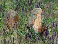 Гурівка з panoramio.com