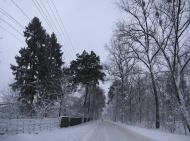 Немішаєве з panoramio.com