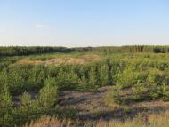 Трушівці з panoramio.com