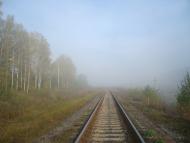 Лісогірка з panoramio.com