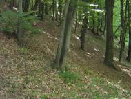 Анталовці з panoramio.com