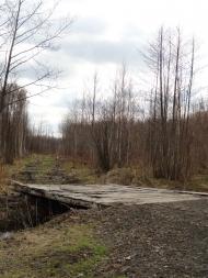 Котів з panoramio.com