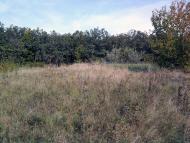 Пугачівка з panoramio.com