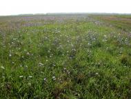 Прогрес з panoramio.com