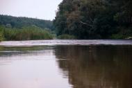 Червоний Шахтар з panoramio.com