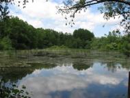 Малополовецьке з panoramio.com