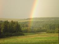 Горохолин Ліс - Останні фото