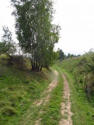 Крутнів з panoramio.com