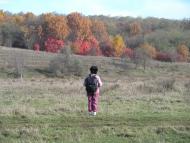 Дніпрельстан з panoramio.com