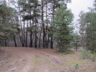 Морозівка з panoramio.com