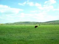 Ананьїв з panoramio.com