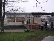 Новохортиця з panoramio.com