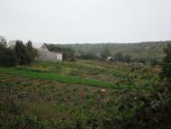 Антоніна з panoramio.com