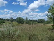 Балівка з panoramio.com