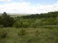 Червонознам'янка - Останні фото