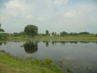 Малютинці з panoramio.com