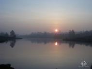 Чапля з panoramio.com