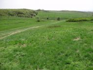 Новозванівка з panoramio.com
