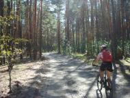 Мирча з panoramio.com