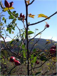 Худльово з panoramio.com